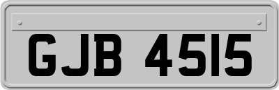 GJB4515