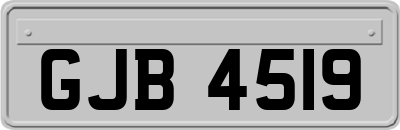 GJB4519