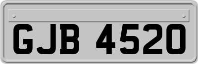 GJB4520