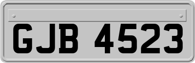 GJB4523