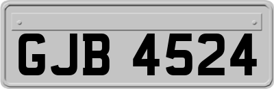 GJB4524