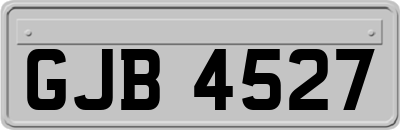 GJB4527
