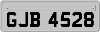 GJB4528