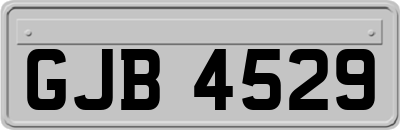GJB4529