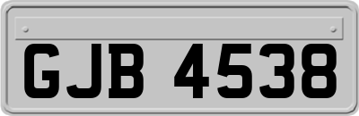 GJB4538