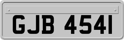 GJB4541