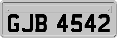 GJB4542