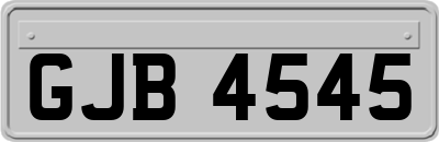 GJB4545