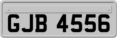 GJB4556