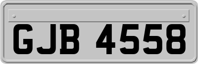 GJB4558