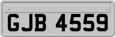 GJB4559