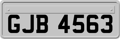GJB4563