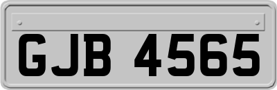 GJB4565