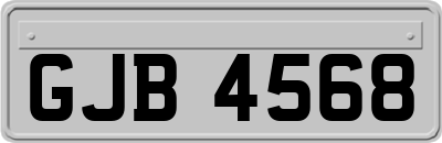 GJB4568