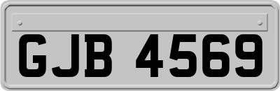 GJB4569