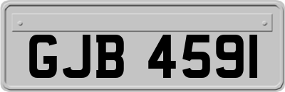 GJB4591