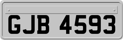GJB4593