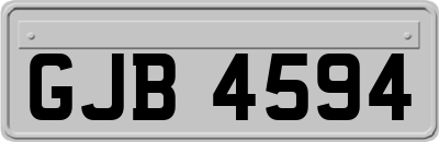GJB4594