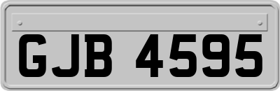 GJB4595