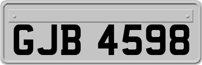 GJB4598