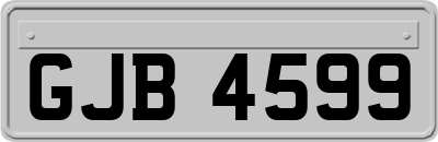 GJB4599