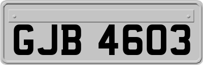 GJB4603