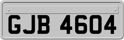 GJB4604