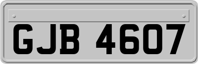 GJB4607