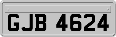 GJB4624