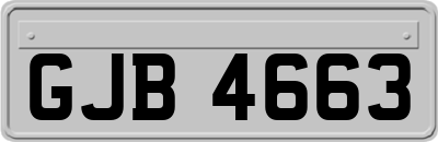 GJB4663