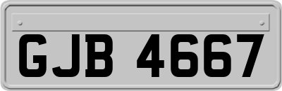 GJB4667