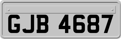 GJB4687