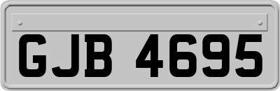 GJB4695