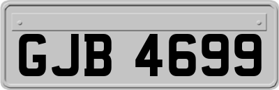 GJB4699