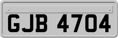 GJB4704