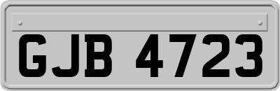 GJB4723