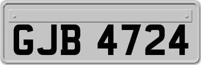 GJB4724