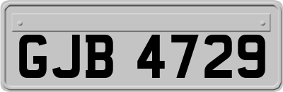GJB4729