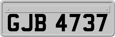 GJB4737