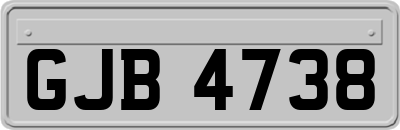 GJB4738