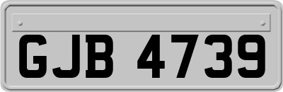 GJB4739