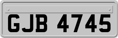 GJB4745