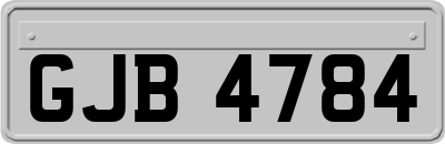 GJB4784