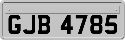 GJB4785