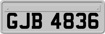 GJB4836