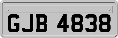 GJB4838
