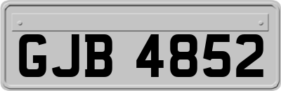 GJB4852