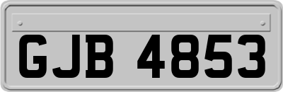GJB4853