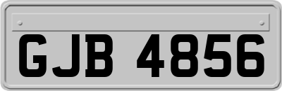 GJB4856