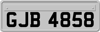 GJB4858